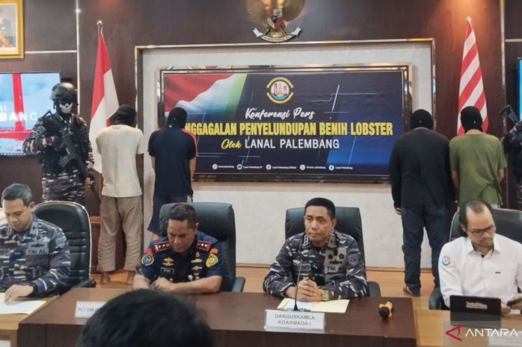 Pangkalan TNI AL Palembang gagalkan penyelundupan lobster ke&nbsp;Singapura