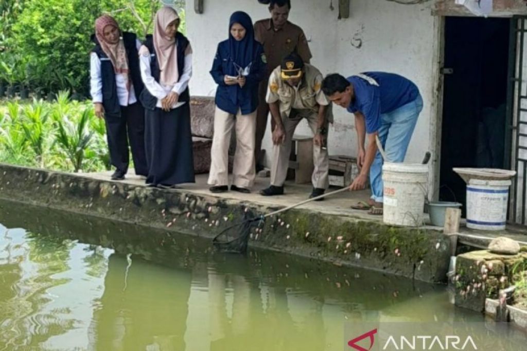 Balai Karantina Sumsel cek penyakit ikan tahap I di Lubuk&nbsp;Linggau