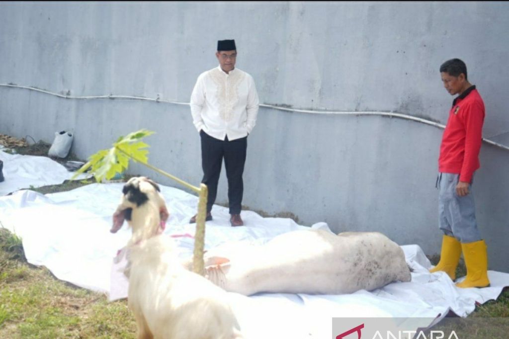 Kemenkumham Sumsel salurkan ratusan hewan kurban buat warga sekitar&nbsp;lapas