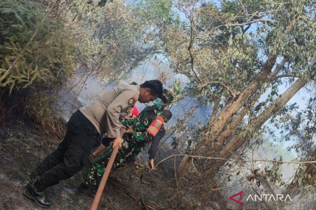 Polisi: Kebakaran lahan gambut di Mukomuko sengaja&nbsp;dibakar